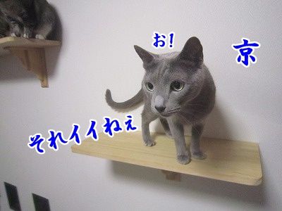 京 (3)