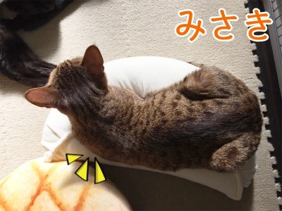 みさき148