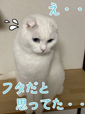 殿575