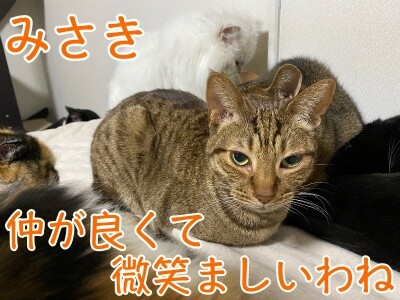 みさき272