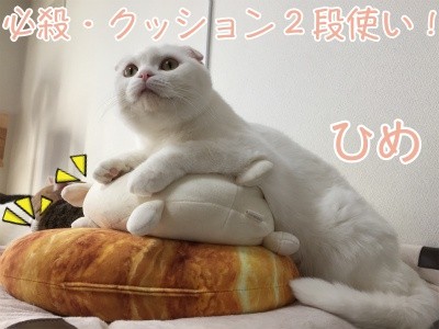 ひめ23