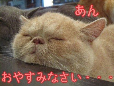 あん14