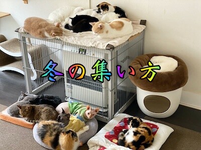みんな827