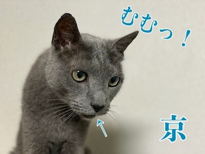 京625