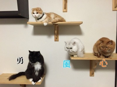 みんな40