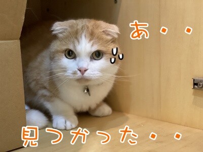 珠若597