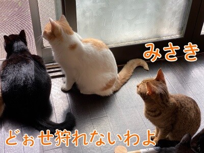 みんな2198