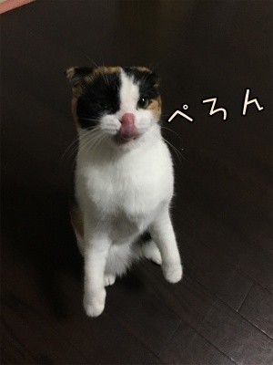 いよ130