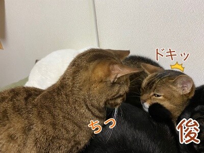 みんな2149