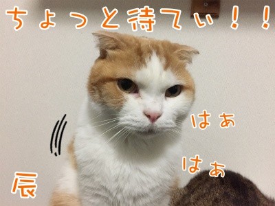 辰182