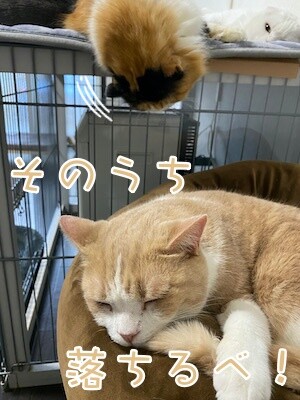 みんな688