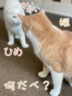 みんな199