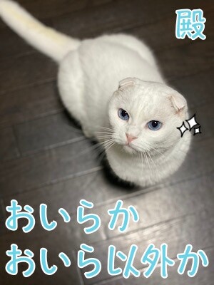 殿125