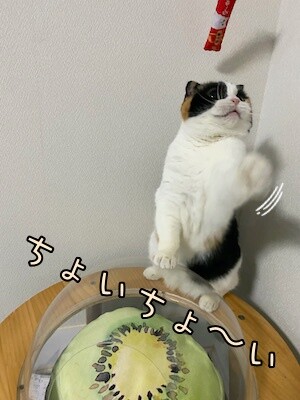 いよ93