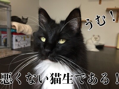 勇113