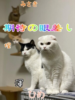 みんな194