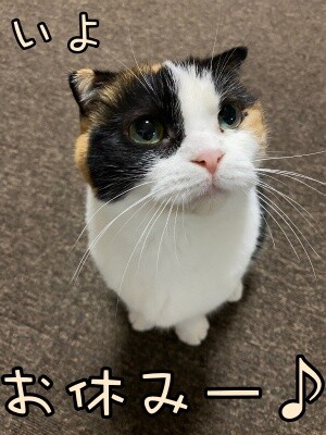 いよ403