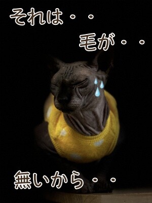 丈149