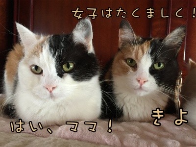みんな154