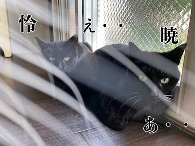 みんな2856