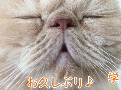学19