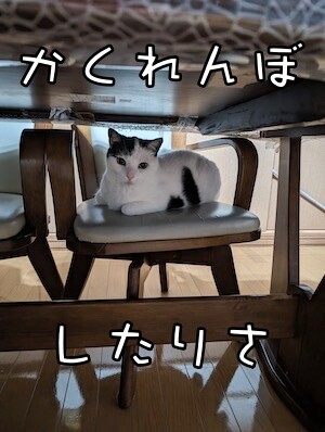 ココナッツ188