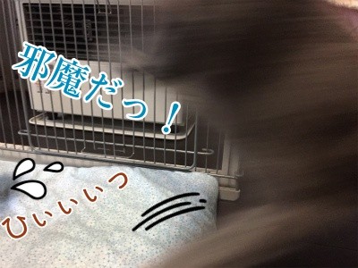 みんな675