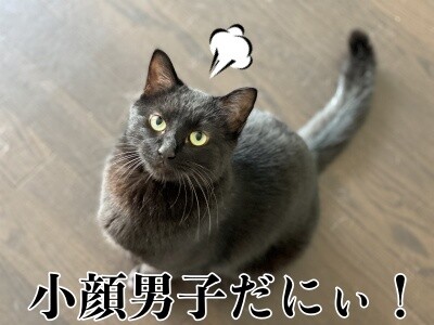 夢71