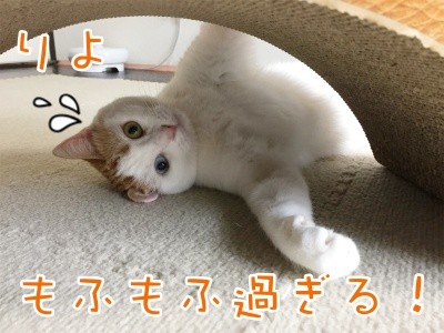 りよ102