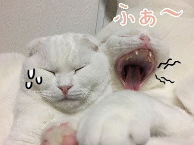 みんな1073