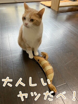 楓14