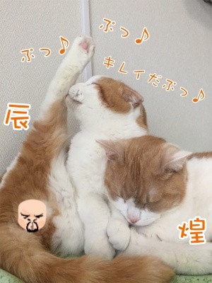 辰130
