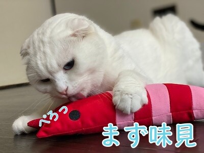 殿115