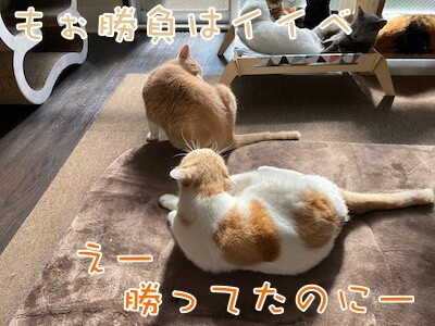 みんな1120