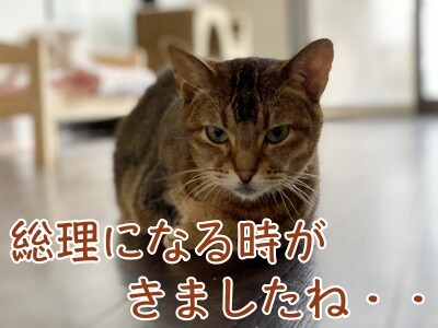 俊369