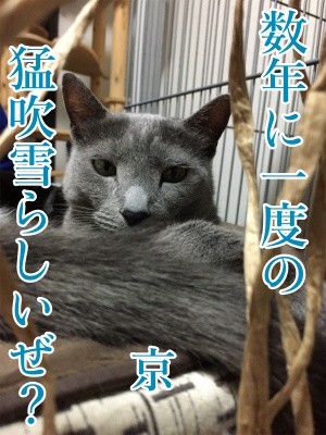 京164