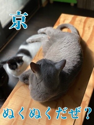 京483