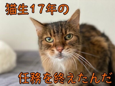 力24