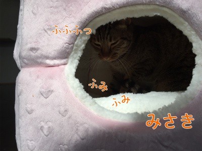 みさき4