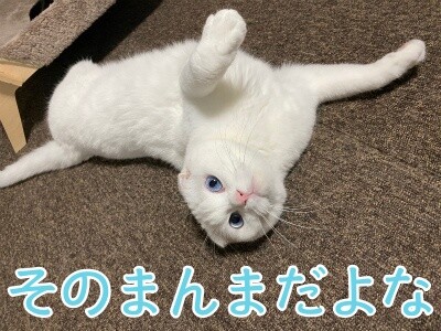 殿796