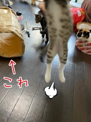 みんな2681