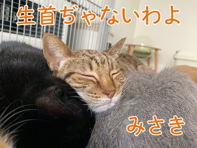 みんな1402