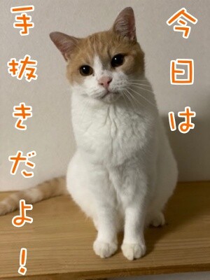 煌235