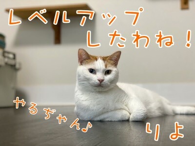 りよ334