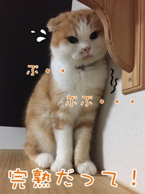 珠若181