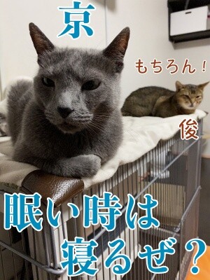 京360