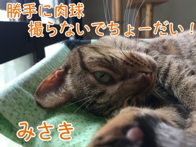 みさき73
