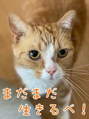 超5