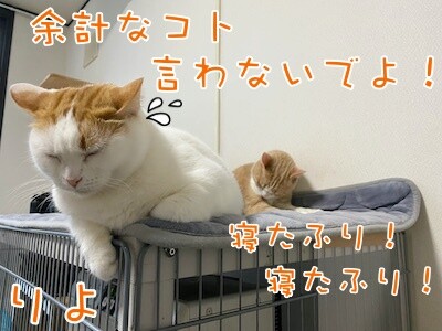 りよ361