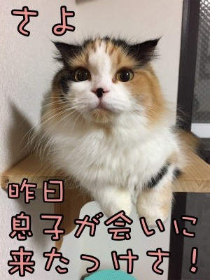 さよ37